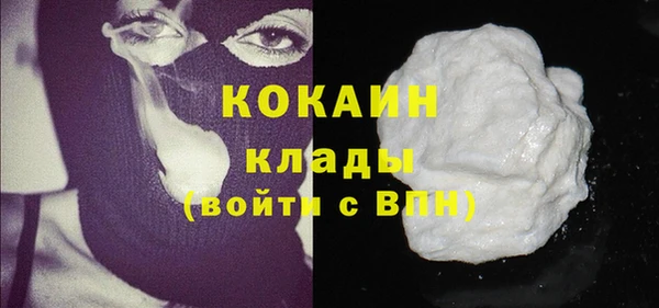 не бодяженный Бородино