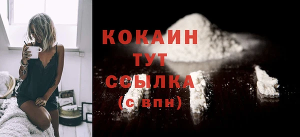 не бодяженный Бородино