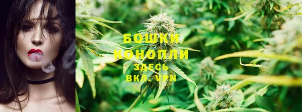 не бодяженный Бородино