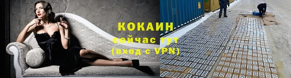 не бодяженный Бородино