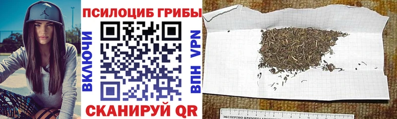 Галлюциногенные грибы GOLDEN TEACHER  где купить наркотик  Юрюзань 